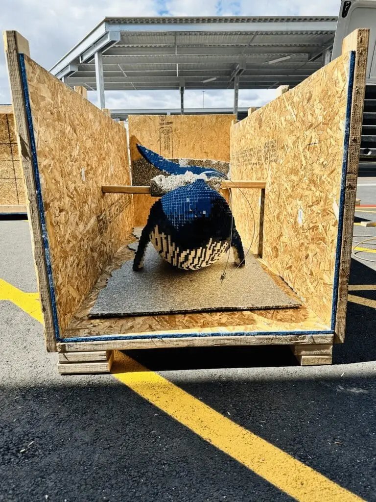 Blue shark sculpture with an open mouth inside a wooden shipping crate.